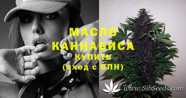 шишки Карпинск