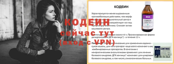 шишки Карпинск