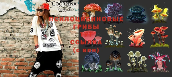 гашик Каменка