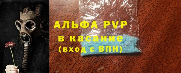 индика Губаха