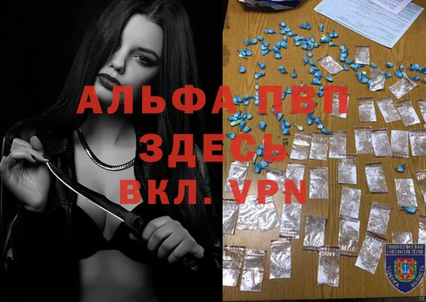 гашик Каменка