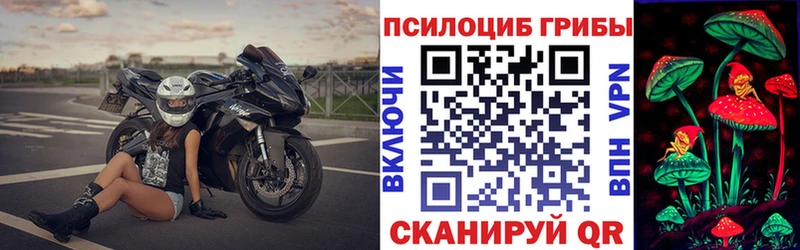 Псилоцибиновые грибы мицелий  Кашира 