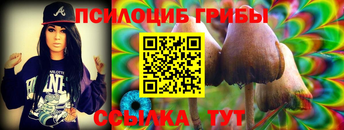 Псилоцибиновые грибы прущие грибы Кашира